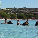 Lägenhet Cala Sultana N62 - 4 Pers Avec Piscine Chauffee- Acces Prive A La De Santa Giulia Porto-Vecchio (Corsica)