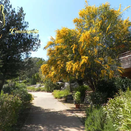 Cala Sultana N62 - 4 Pers Avec Piscine Chauffee- Acces Prive A La De Santa Giulia 公寓 *